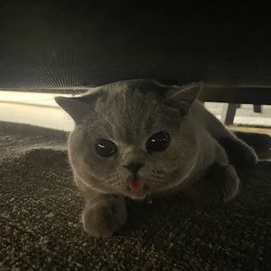 Meet your Posher, Jayda